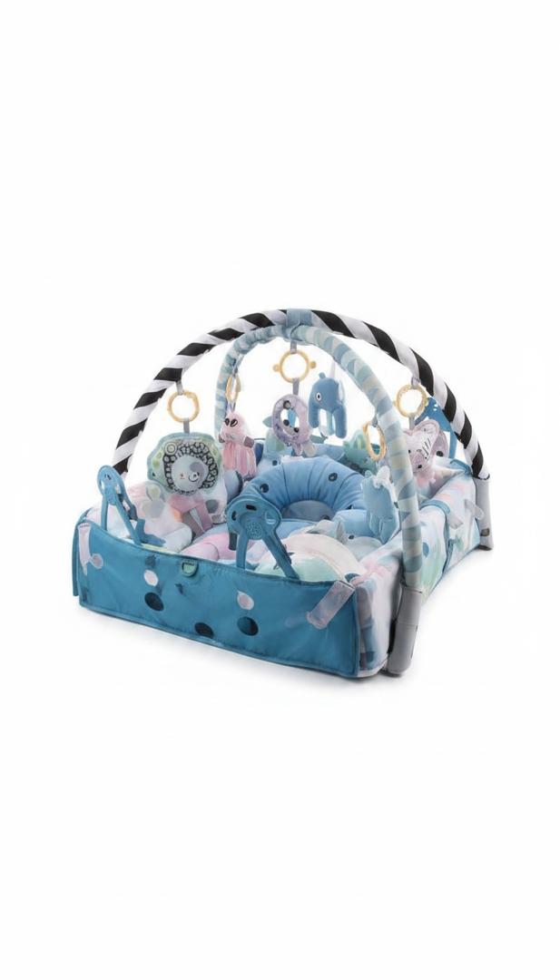 Baby Activity Play Mat